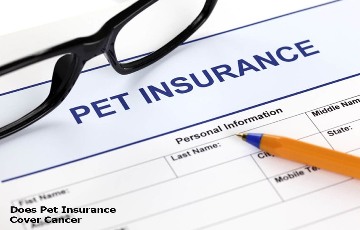 Does Pet Insurance Cover Cancer