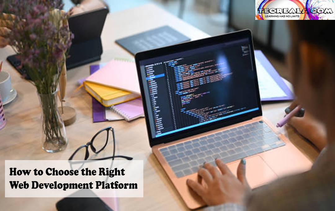 How to Choose the Right Web Development Platform 