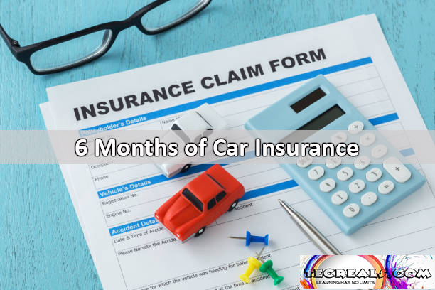 6 Months of Car Insurance: How Much It Cost?
