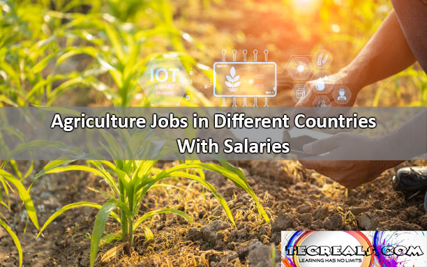 Agriculture Jobs in Different Countries With Salaries Up to $80,000 Yearly