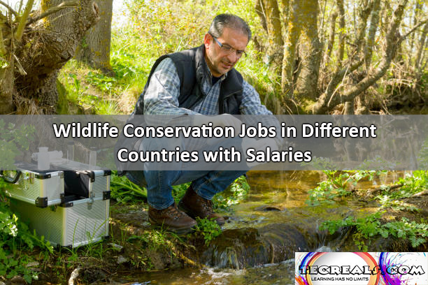 Wildlife Conservation Jobs in Different Countries with Salaries Up to $72,260 Yearly