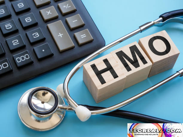 HMO - Health Maintenance Organization