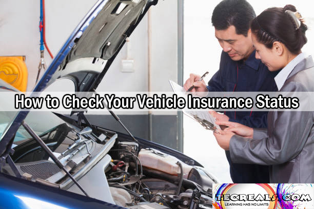 How to Check Your Vehicle Insurance Status