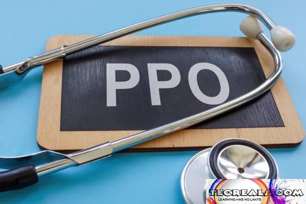 PPO - Preferred Provider Organization