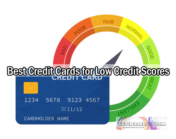 Best Credit Cards for Low Credit Scores