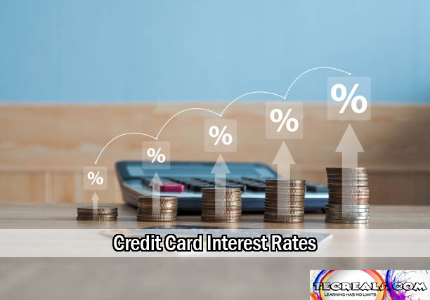 Credit Card Interest Rates: How to Avoid Costly Fees