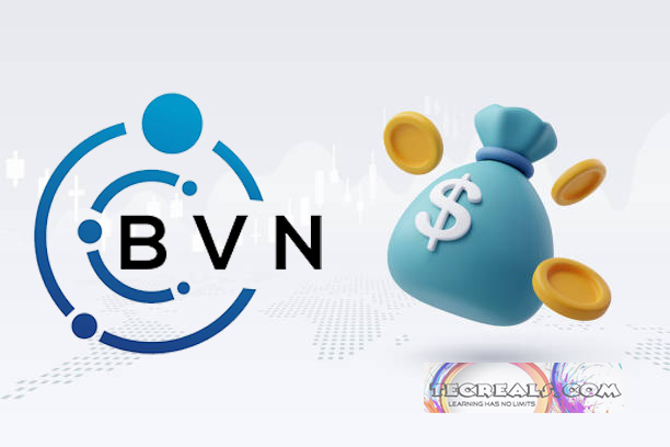 Get a Loan Without BVN In Nigeria