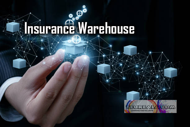 Insurance Warehouse - Security Measures and Access Control