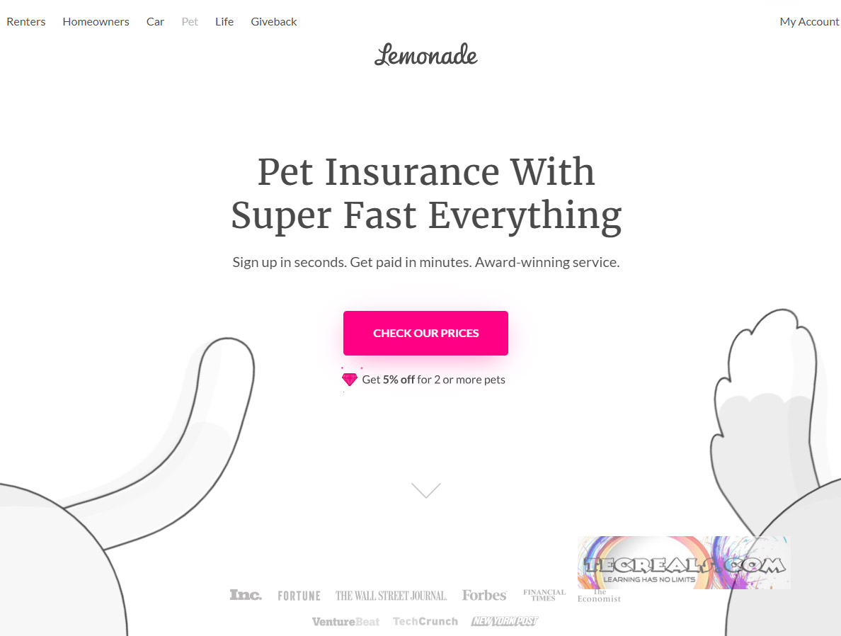 Lemonade Pet Insurance - Why Choose Lemonade Pet Insurance?