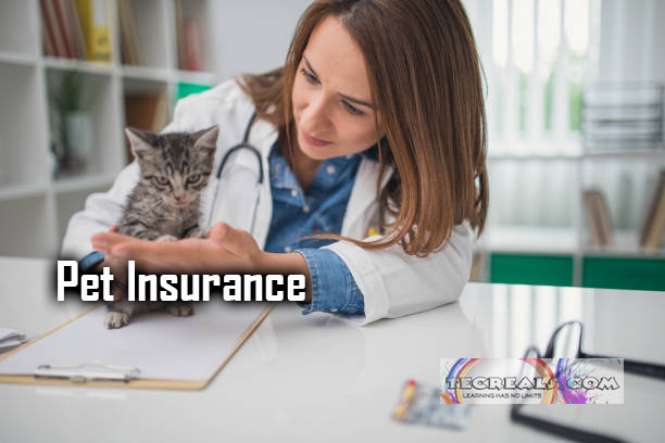 Pet Insurance - Types of Pet Insurance Coverage
