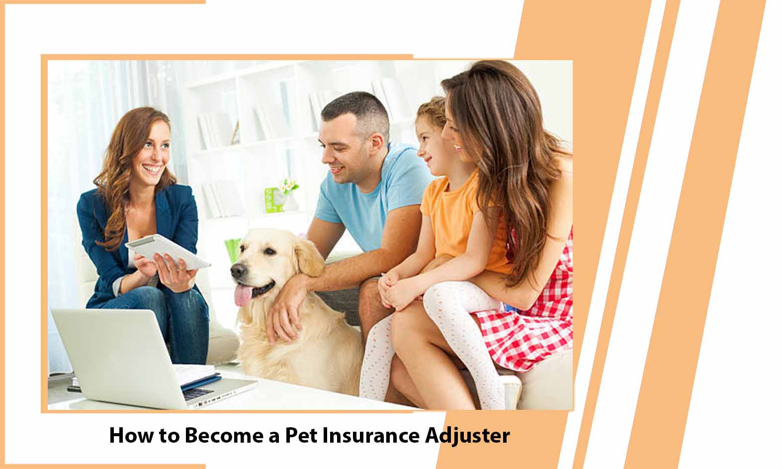 How to Become a Pet Insurance Adjuster