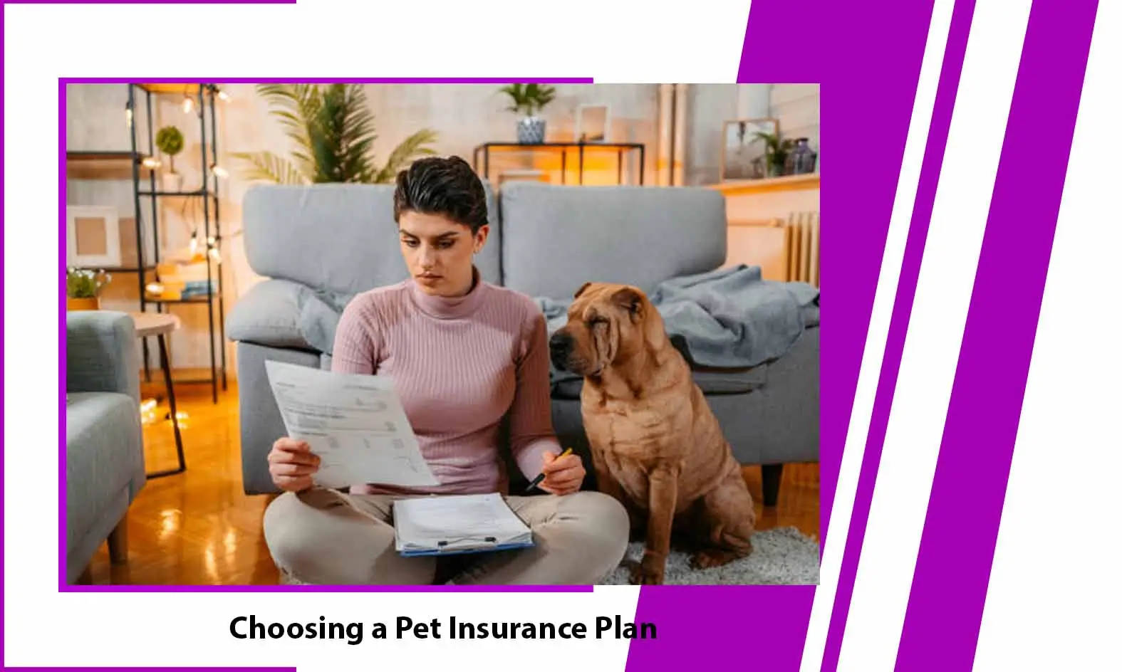 Choosing a Pet Insurance Plan