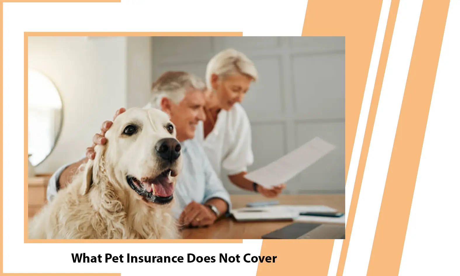 What Pet Insurance Does Not Cover